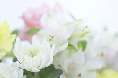 葬儀プランイメージ